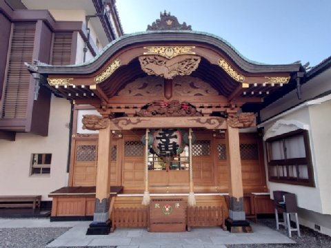 ���J�S�q��_