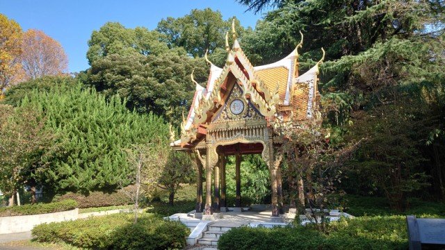 ��쓮�����̃T�[���[�^�C