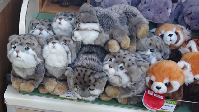 ���X�̂ʂ�����݂���