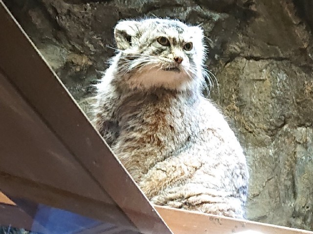 �}�k���l�R