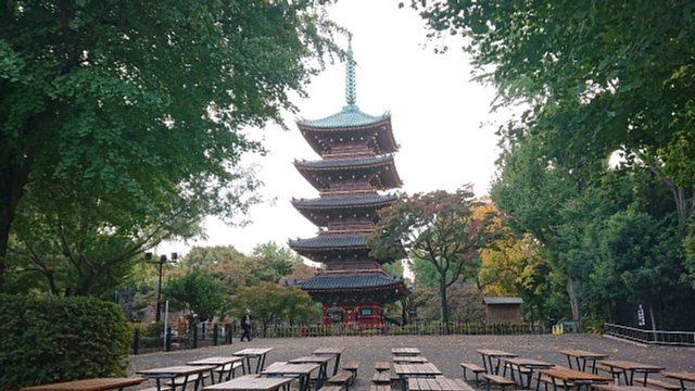 ���������̌܏d��